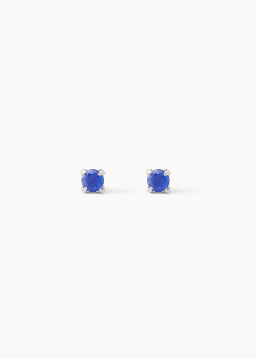 Blue Jade Detail Earrings - CREU | Buy Online