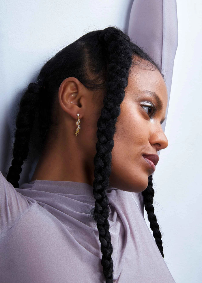 Shining Climber Earrings
