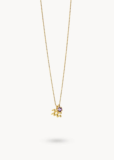 Astro Energy Aquarius Necklace