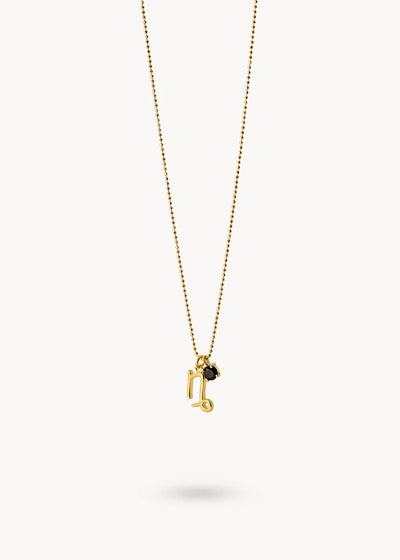 Astro Energy Capricorn Necklace