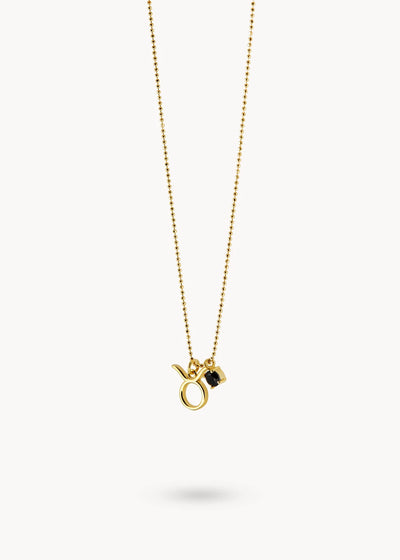 Astro Energy Taurus Necklace