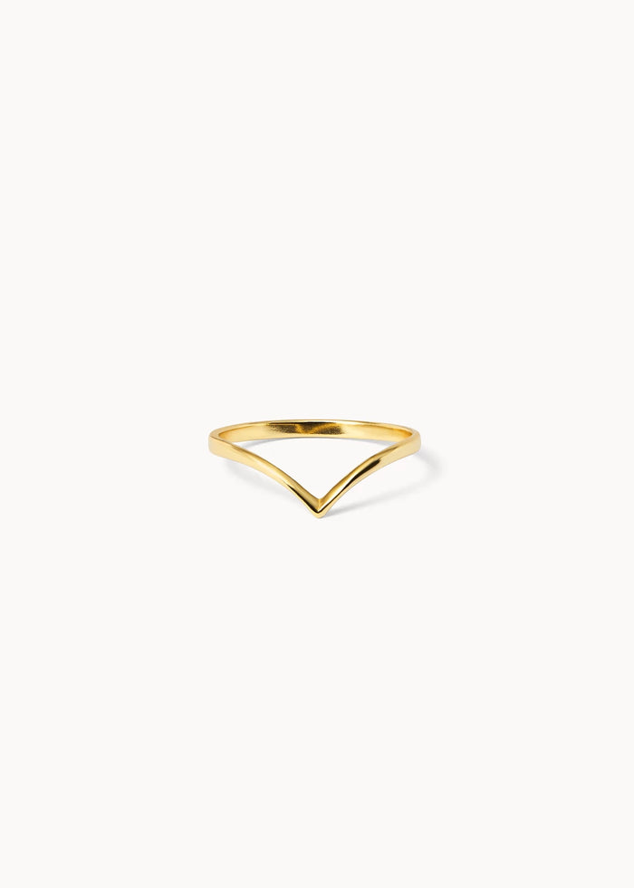 Anillo Fly