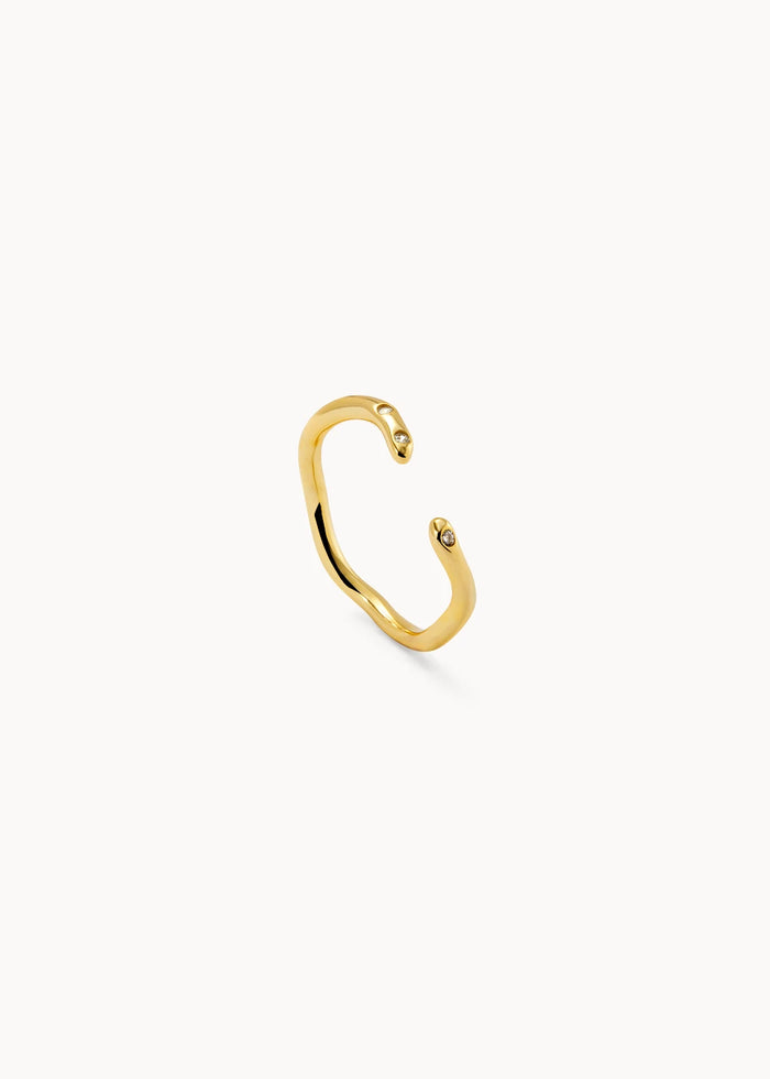 Anillo Narel