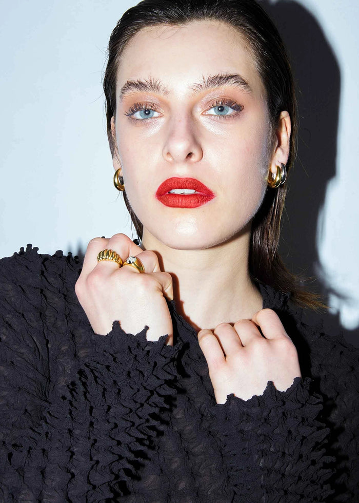 Anillo Zebra
