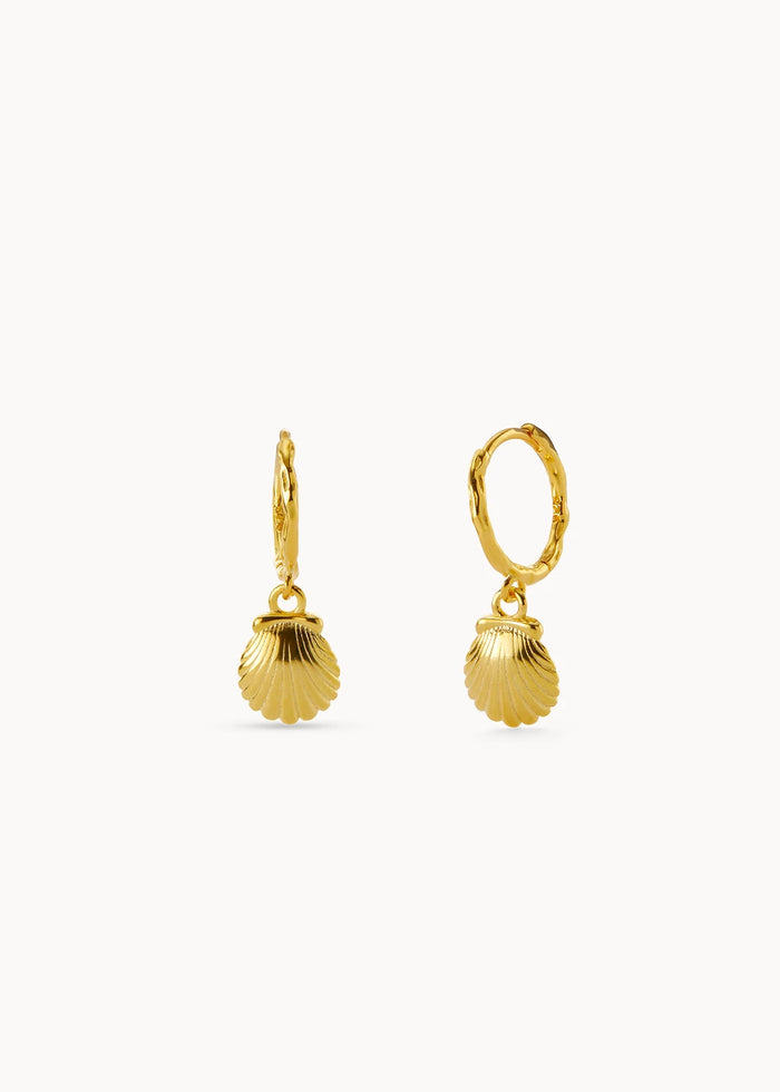 Pendientes Aro Concha