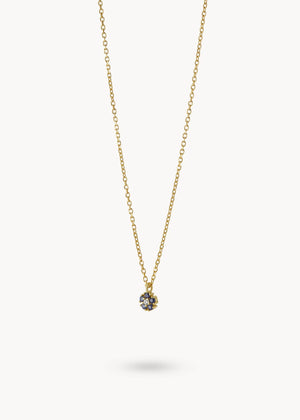 Collar Daisy Blue