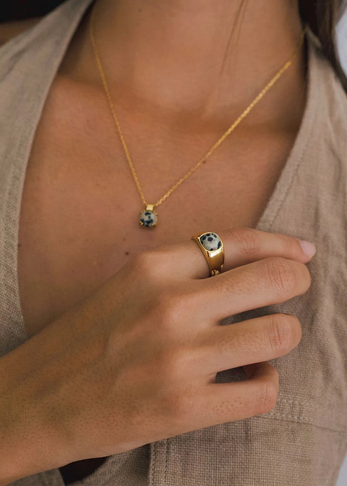 Anillo Zebra