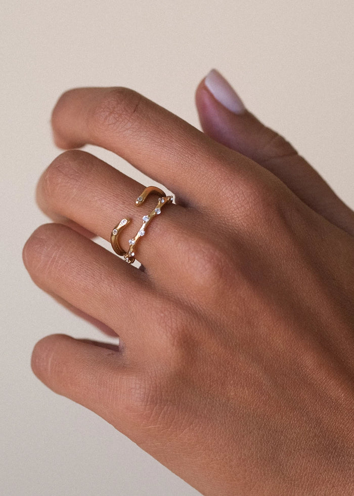 Anillo Narel