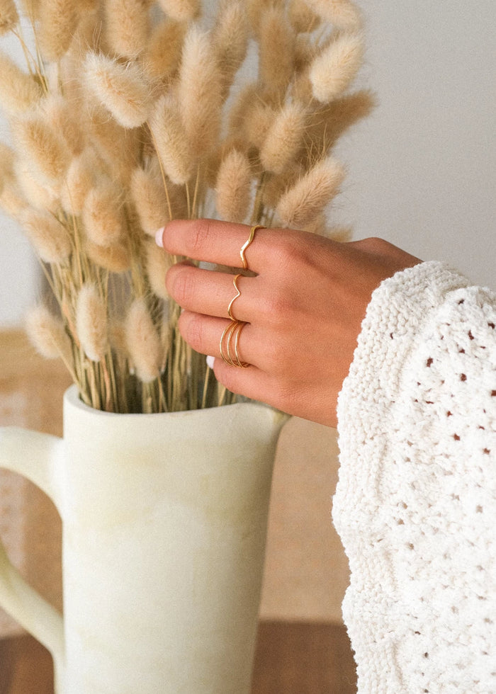 Anillo Fly