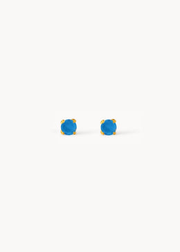Turquoise Detail Earring