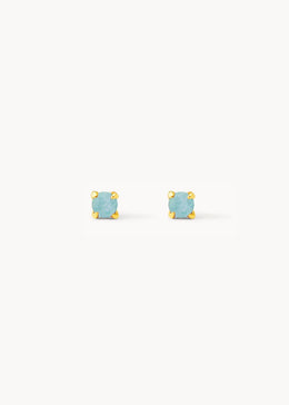 Amazonite Detail Earring