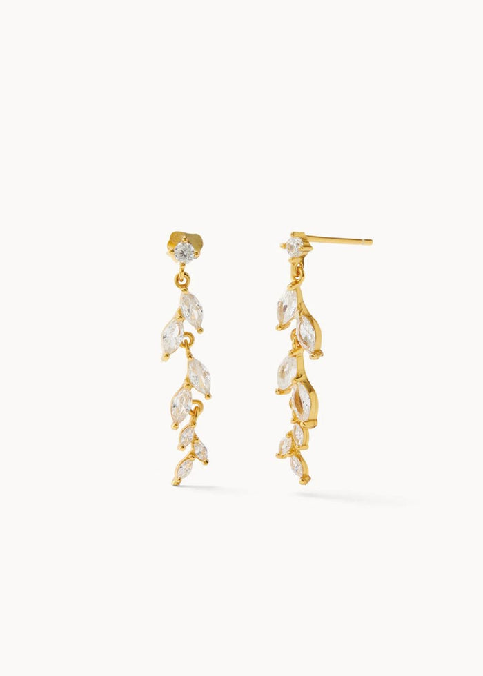 Shining Climber Earrings