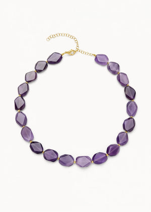 Collar Purple Vision