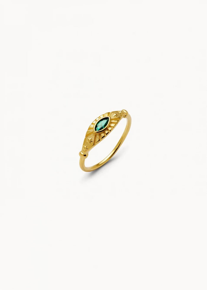 Anillo Green Vision