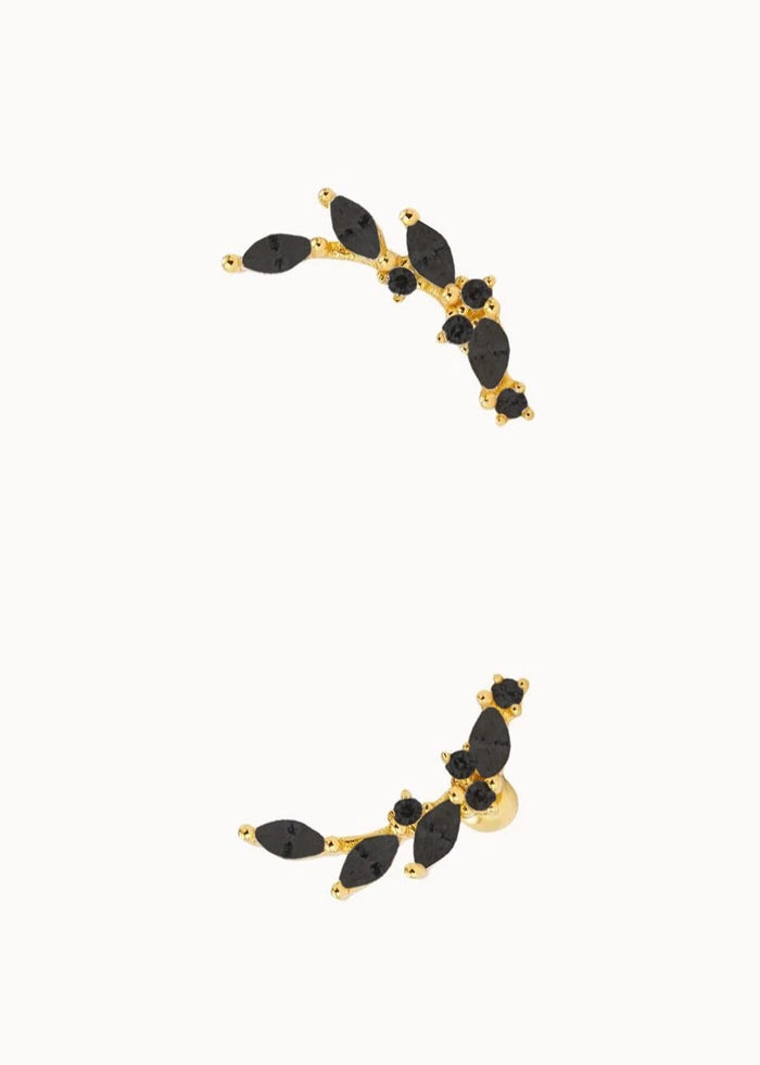 Piercing Laurel