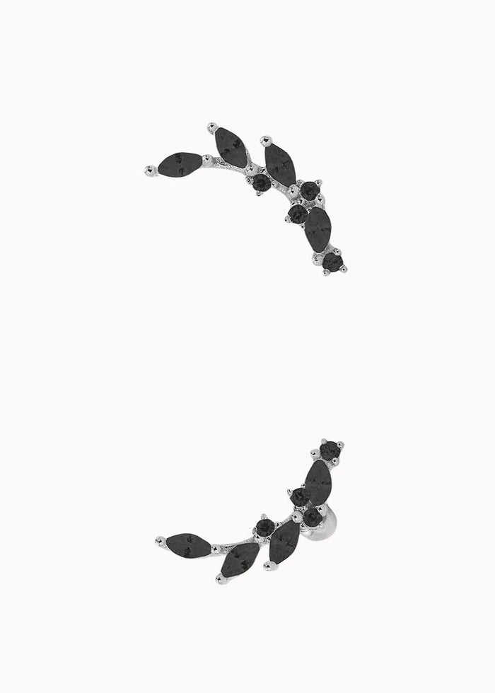 Piercing Laurel