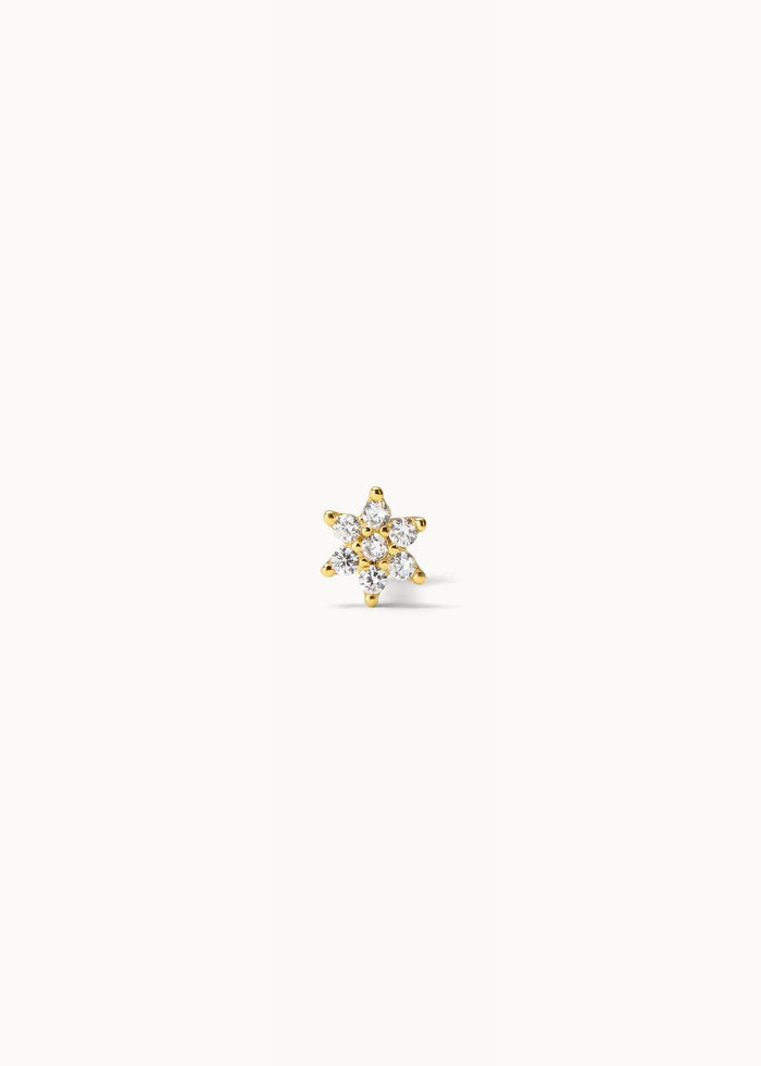 Piercing Stella