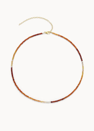 Collar The Sun