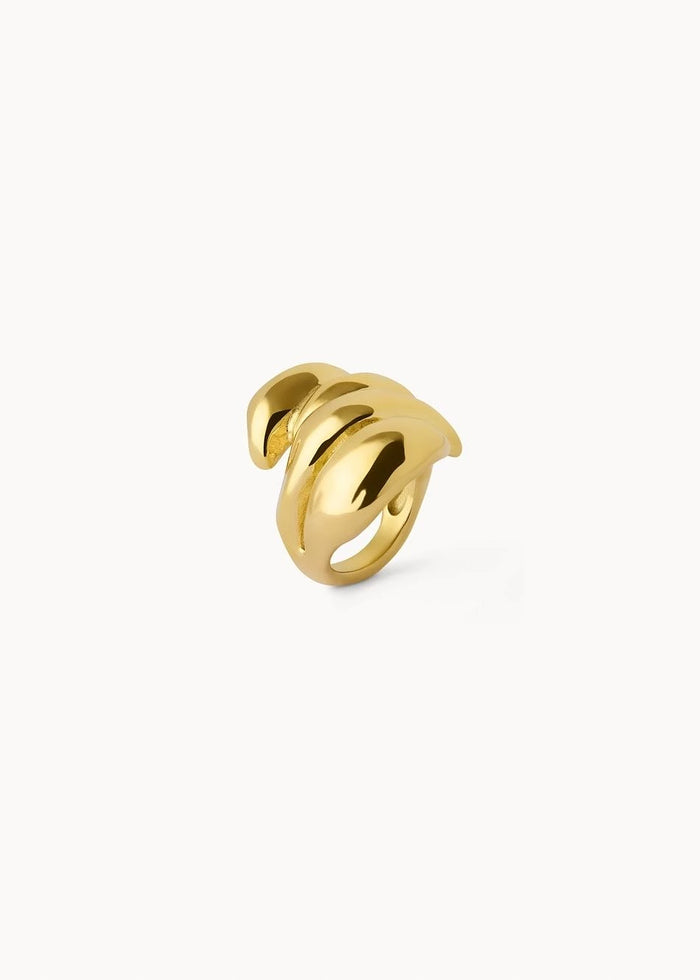 Anillo Petra