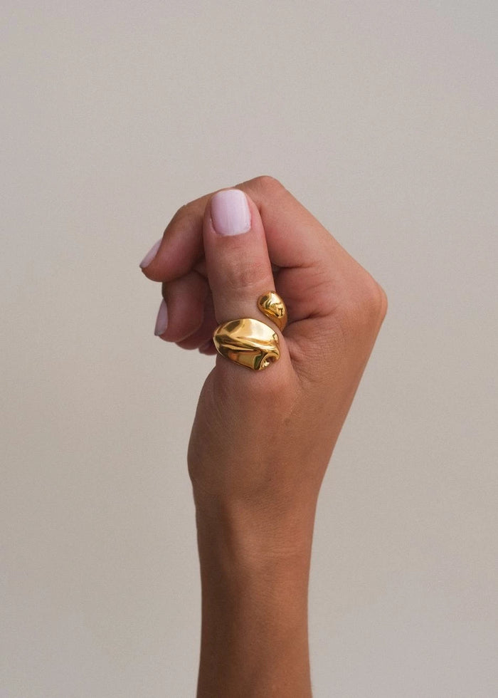 Anillo Nara