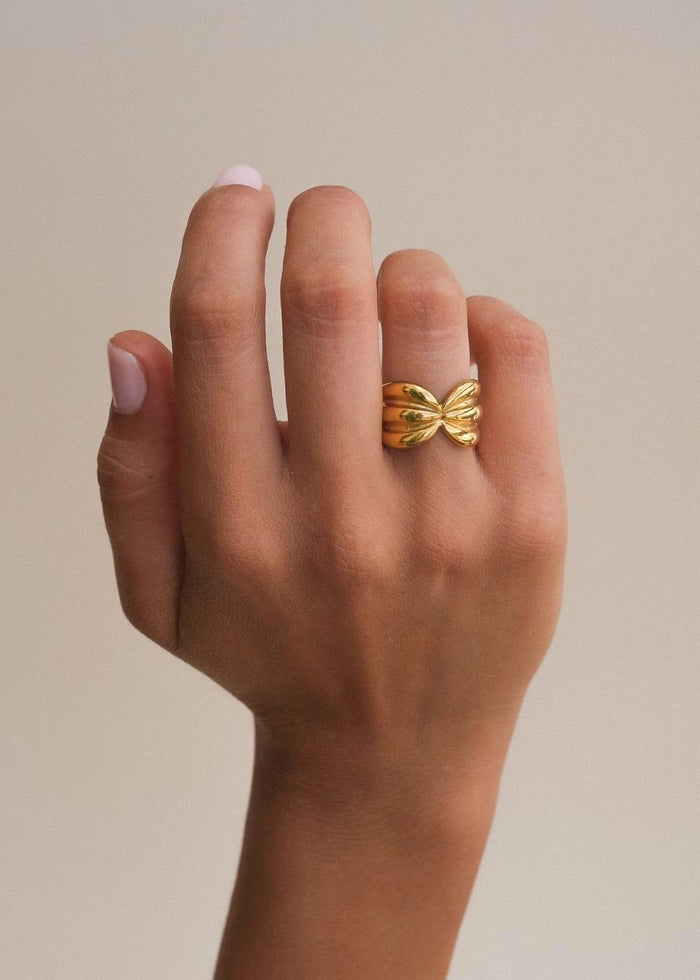 Anillo Lazo
