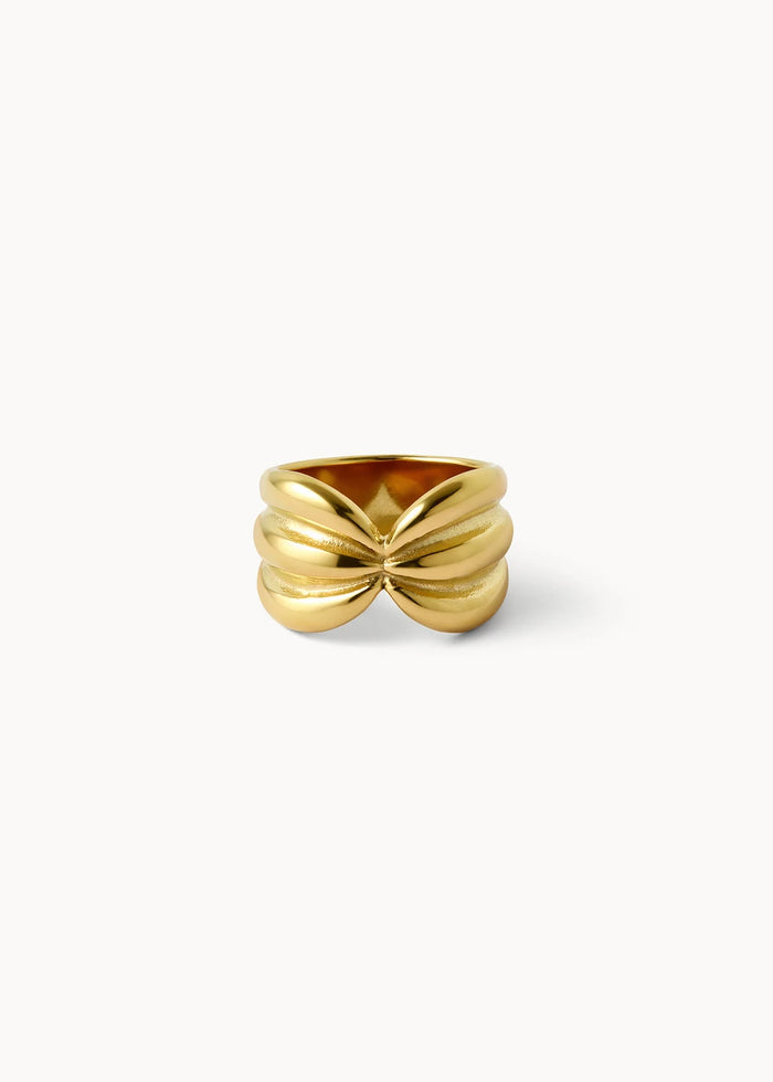 Anillo Lazo