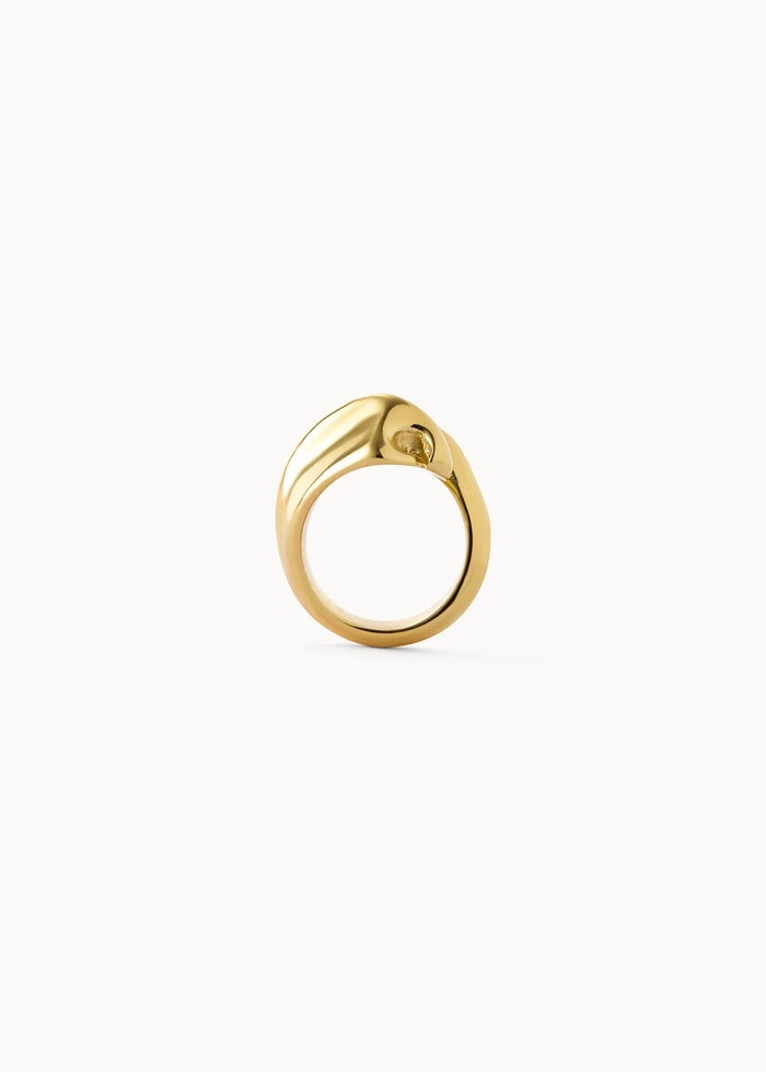 Anillo Nara