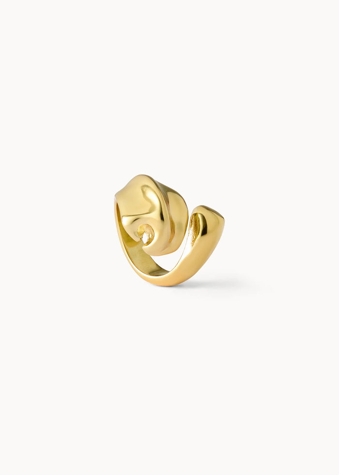Anillo Nara