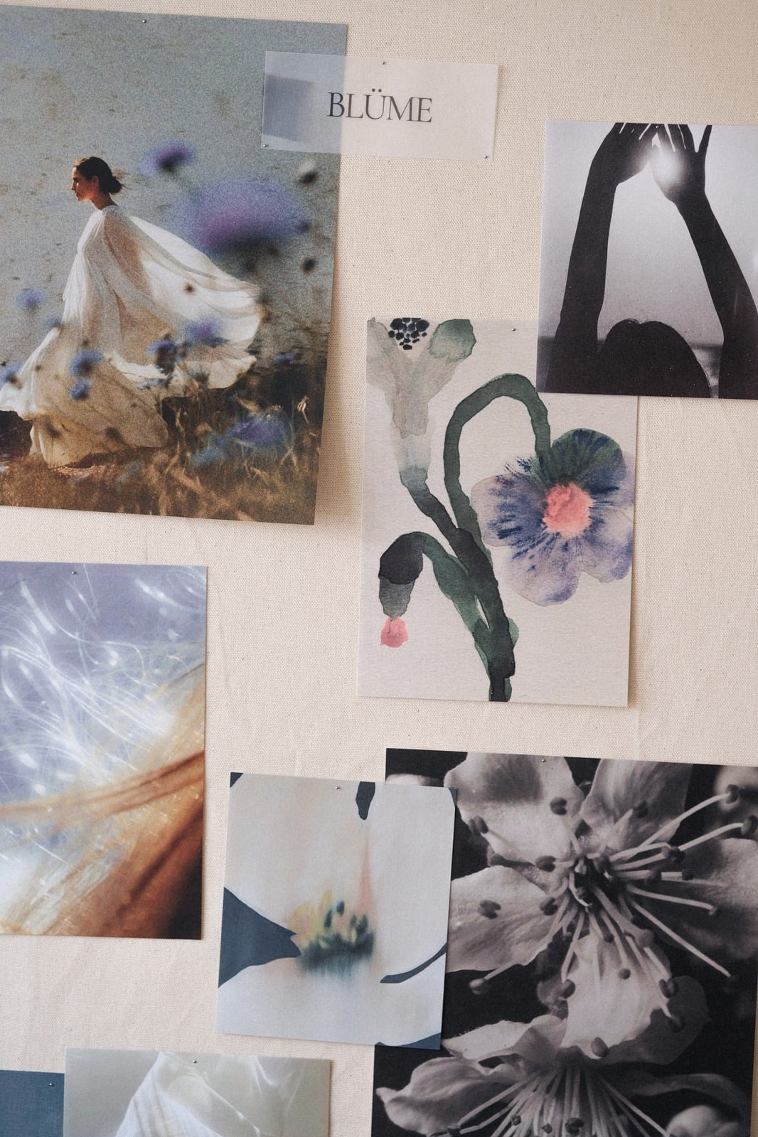 Blume