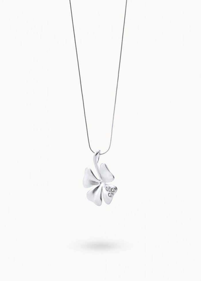 Collar Big Chance
