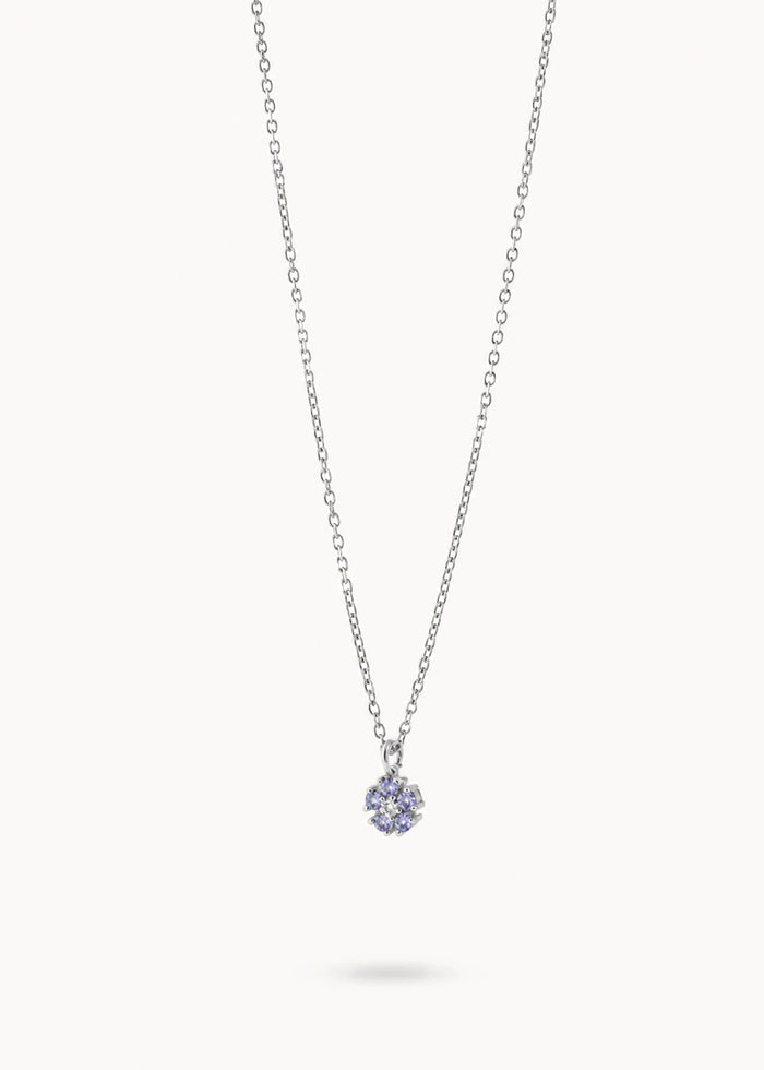 Collar Daisy Blue Sky