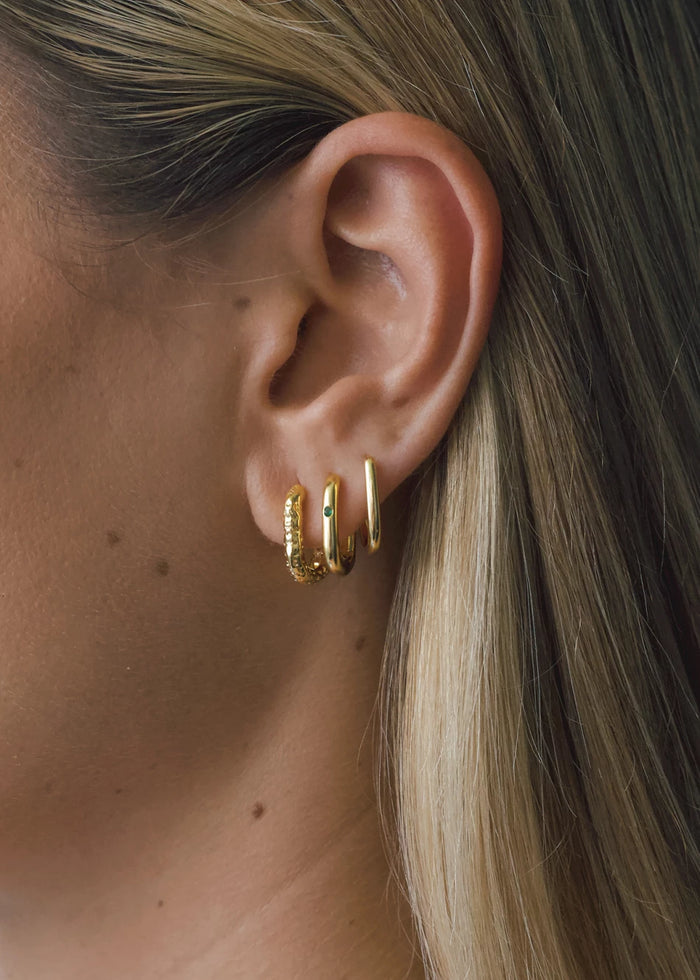 Oval & Sika Earparty