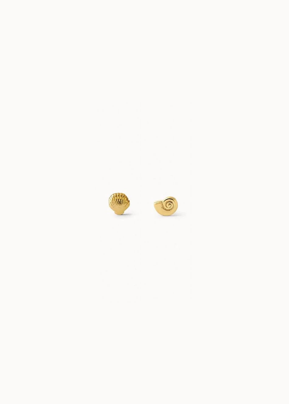 Piercings Coquille & Spiralis