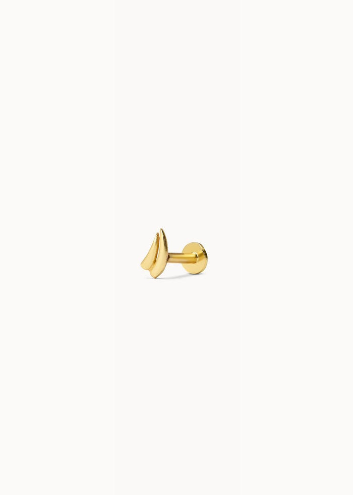 Arcé Piercing